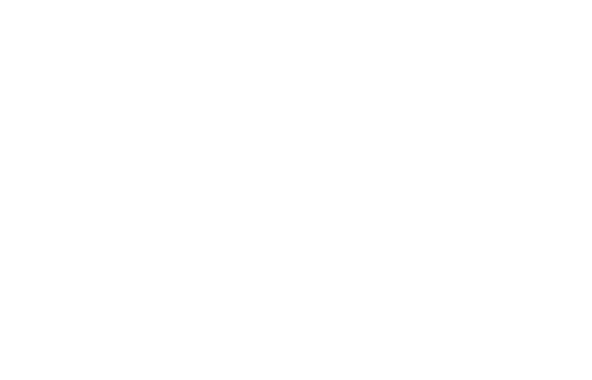 Traditional / Stepped % icon